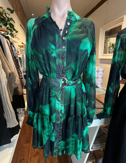 Jeena Gold Button Down Short Dress in Emerald Print